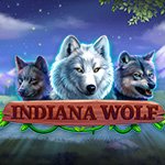Indiana Wolf